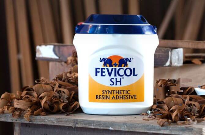 Fevicol